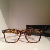 Ray Ban | Wayfarer Oncinha